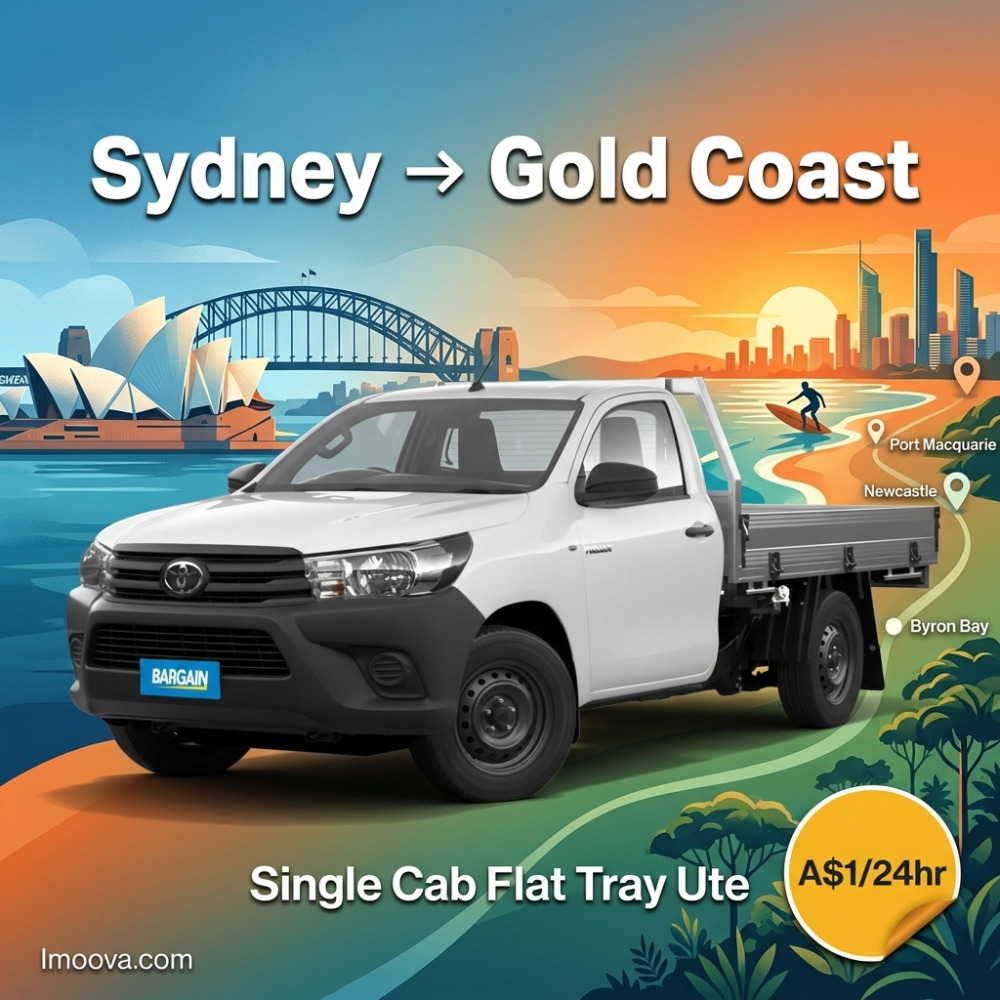 Single Cab Flat Tray Ute - image 1