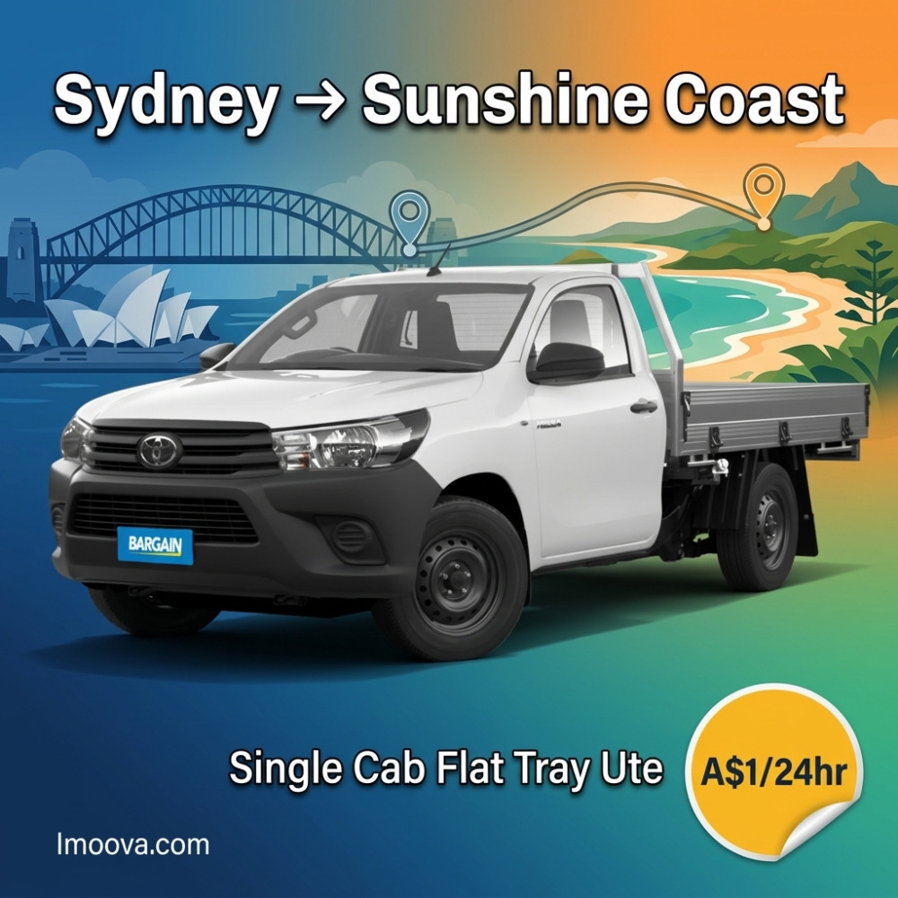 Single Cab Flat Tray Ute - image 1