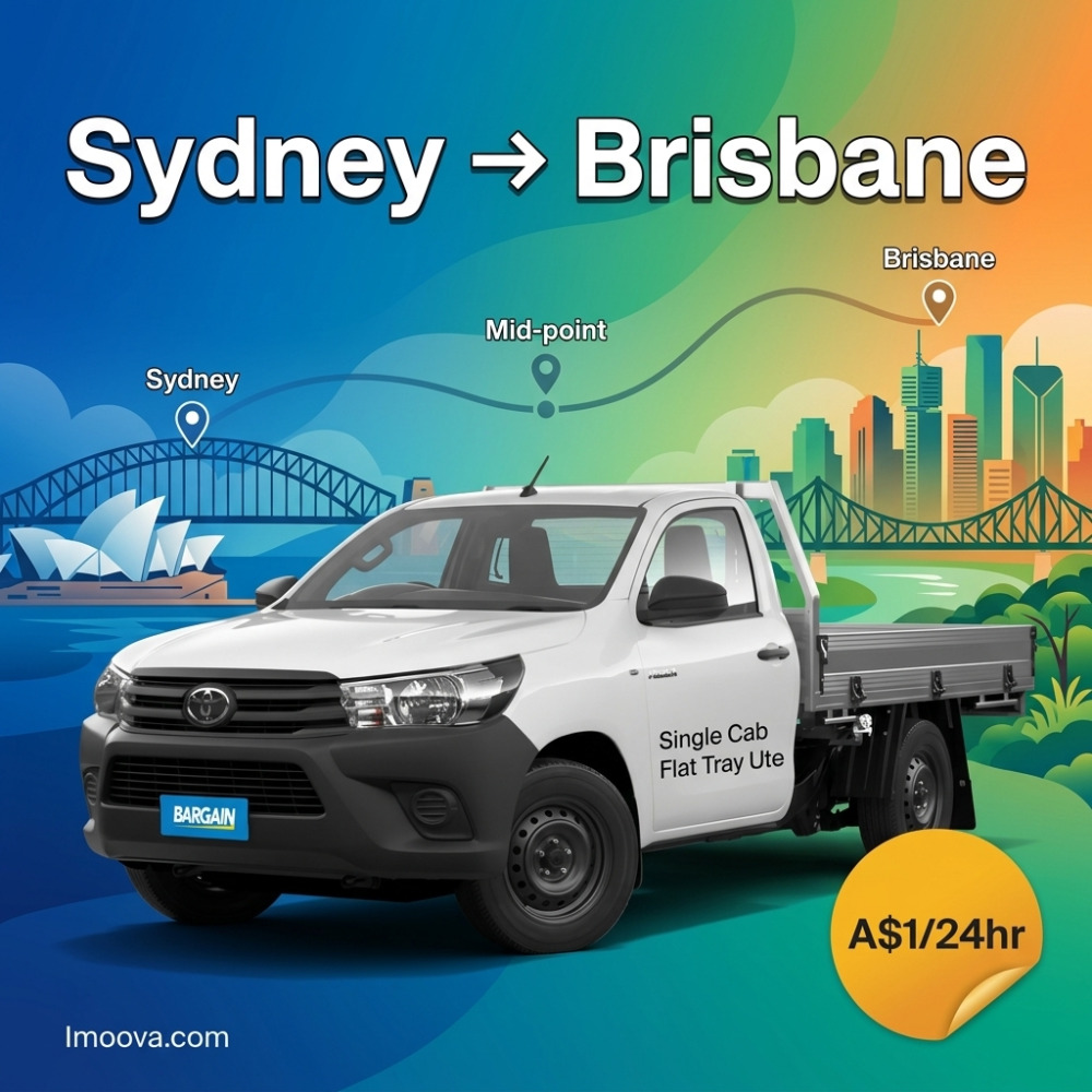 Single Cab Flat Tray Ute - image 1