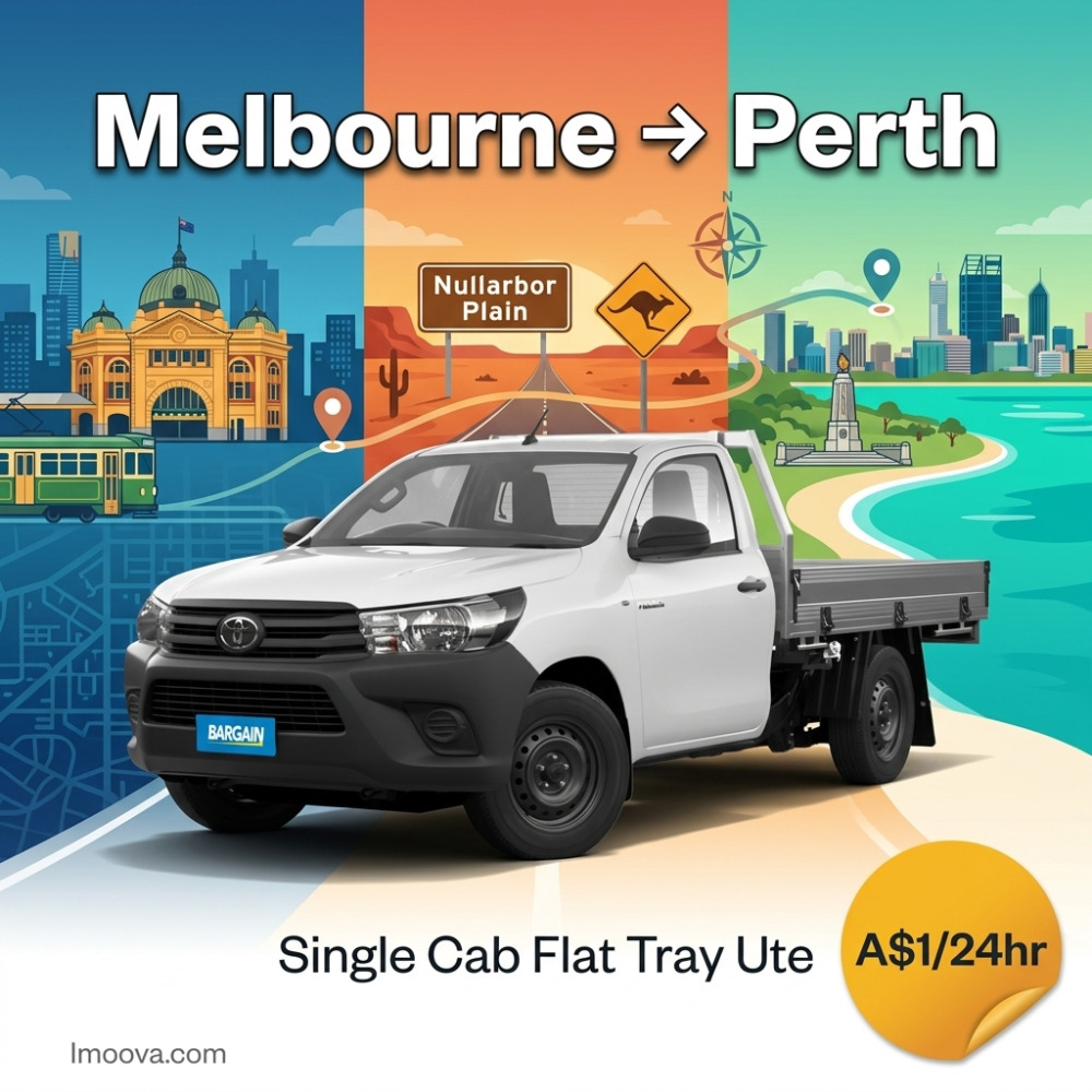 Single Cab Flat Tray Ute - image 1