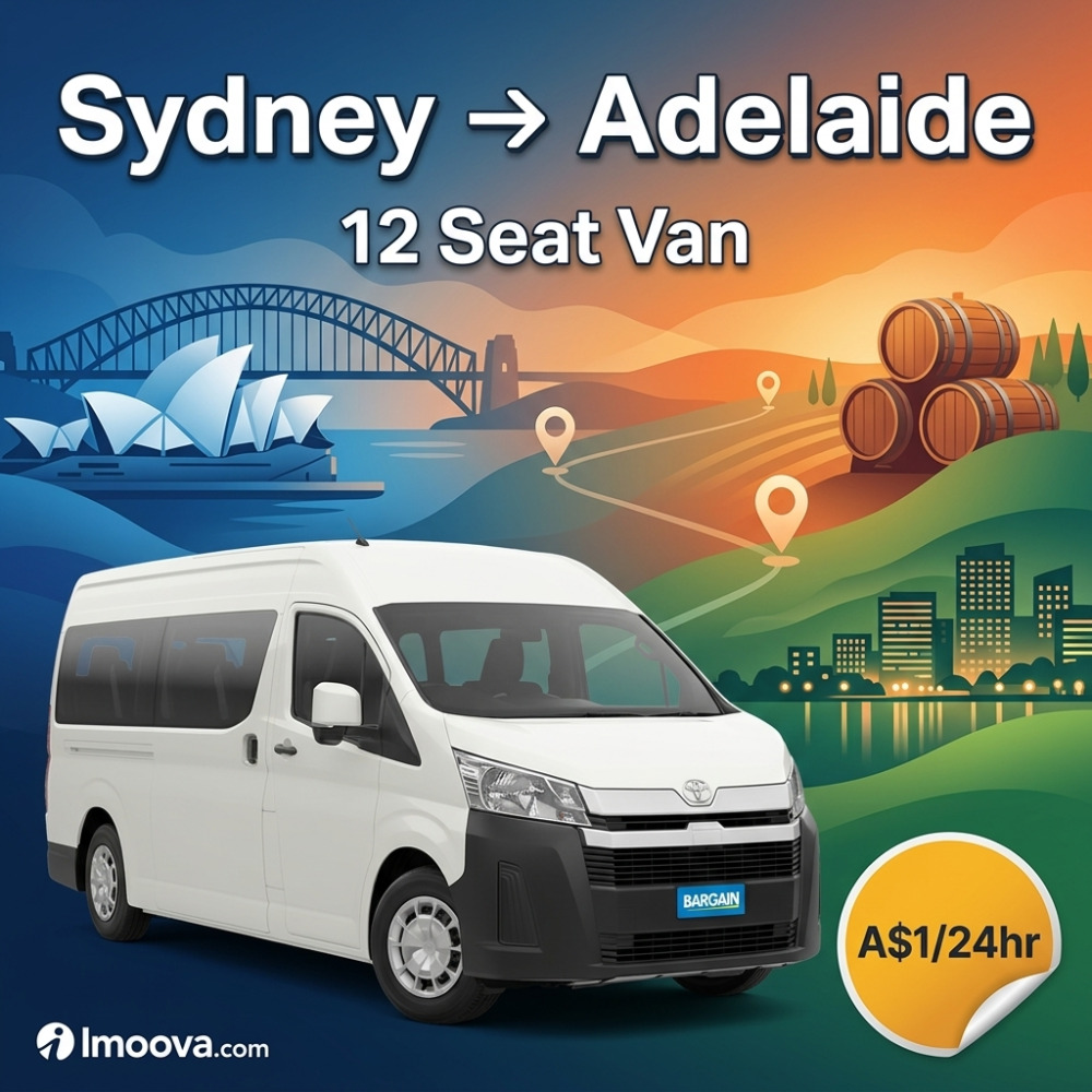 12 Seat Van - image 1