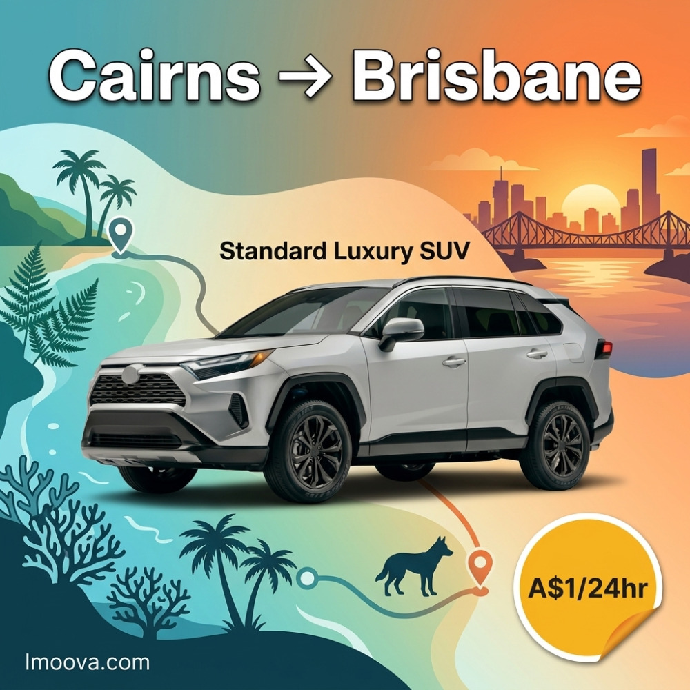 Standard Luxury SUV - image 1