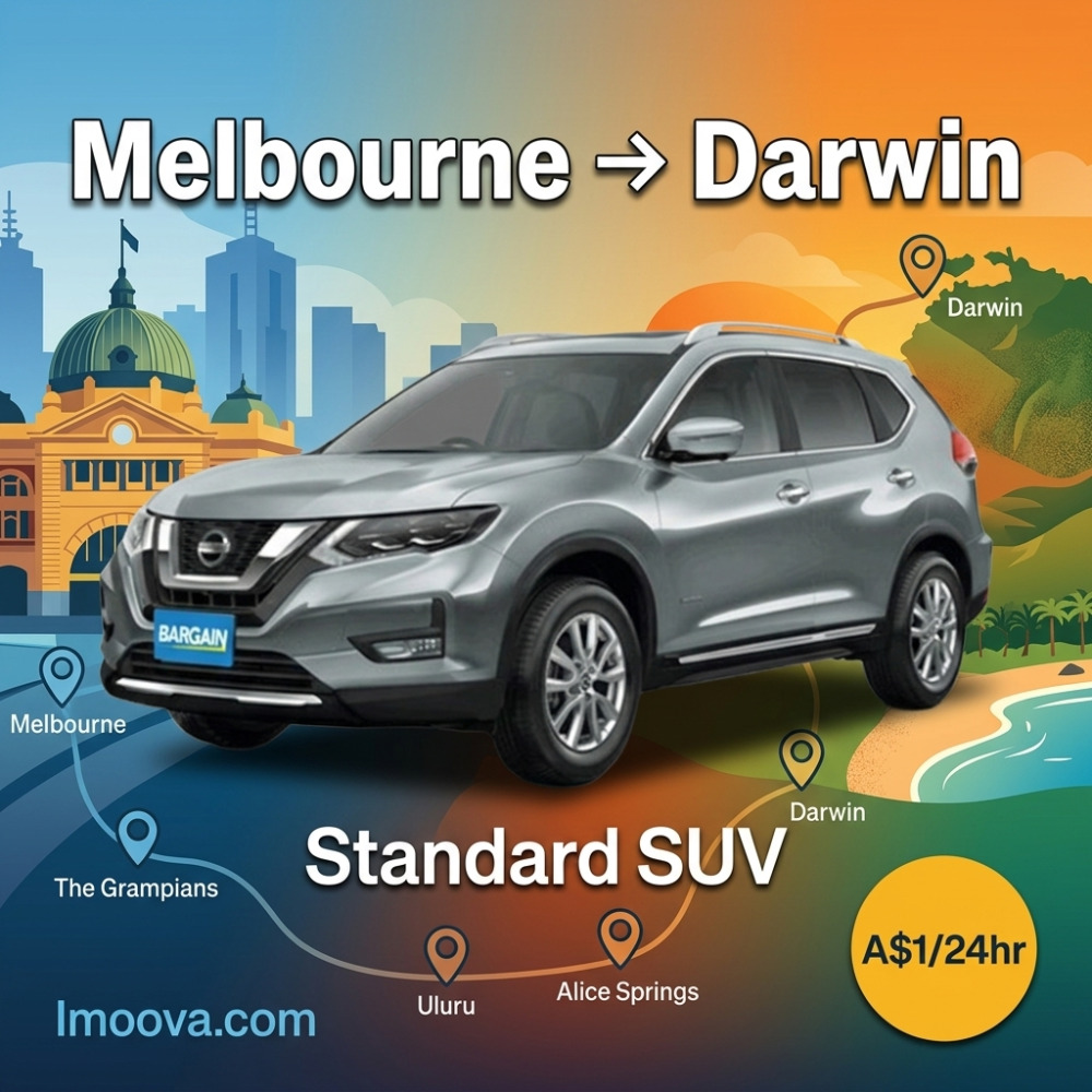 Standard SUV - image 1