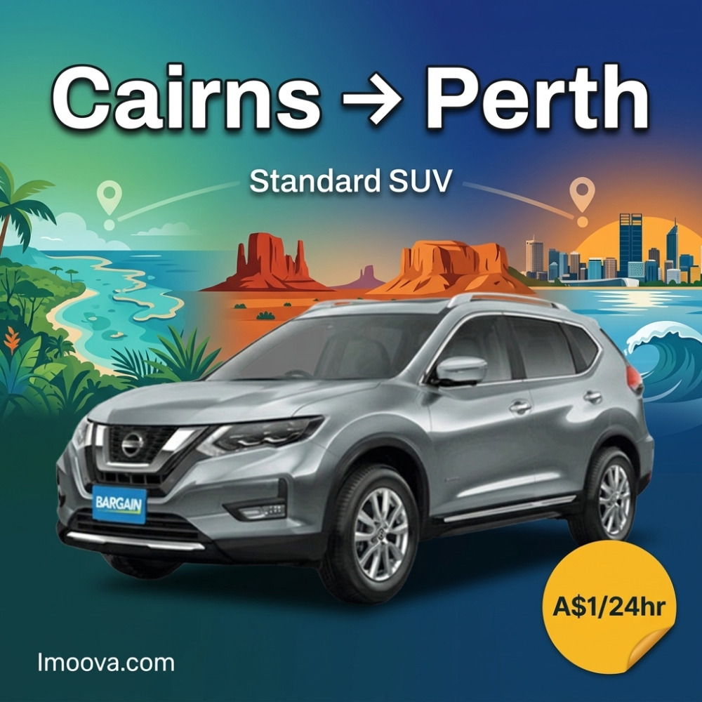 Standard SUV - image 1