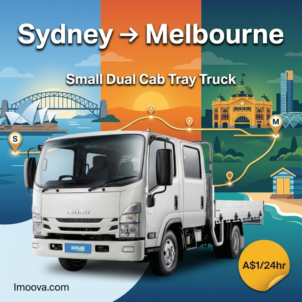 Small Dual Cab Tray Truck - image 1
