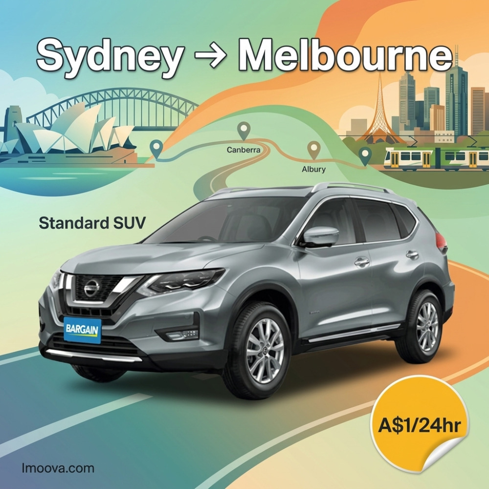Standard SUV - image 1