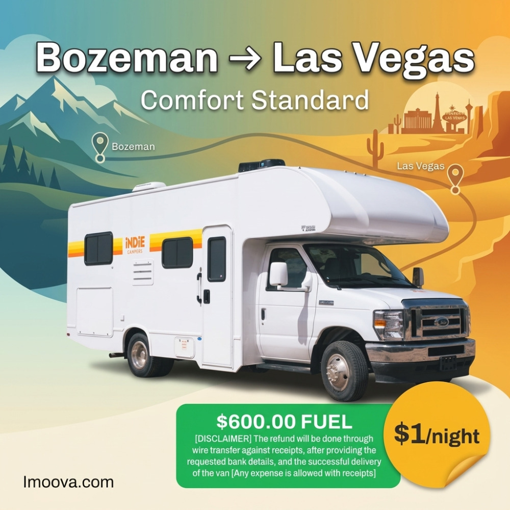 Comfort Standard - image 1