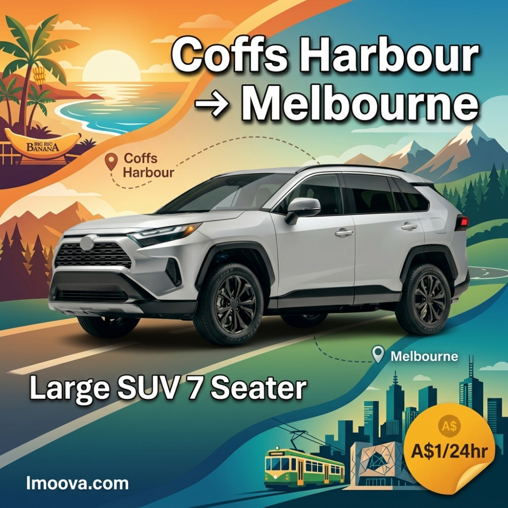Large SUV 7 Seater - image 1