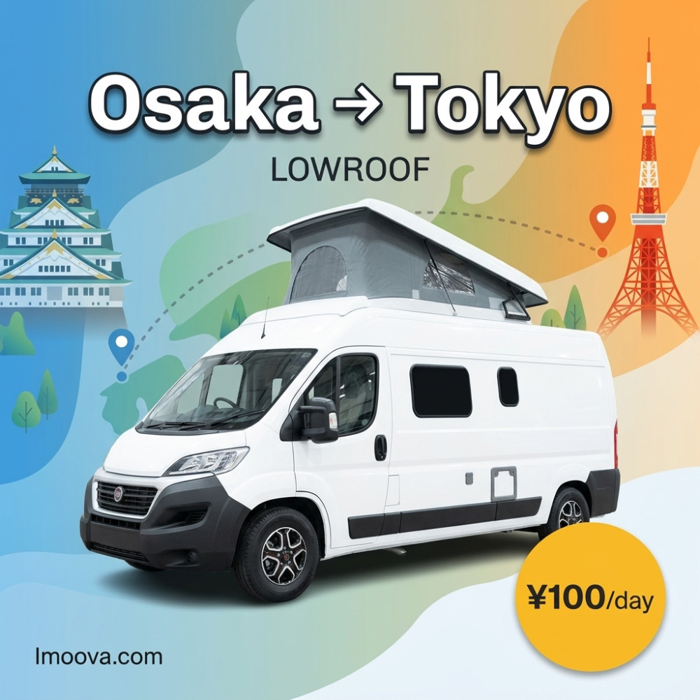 LOWROOF - image 1