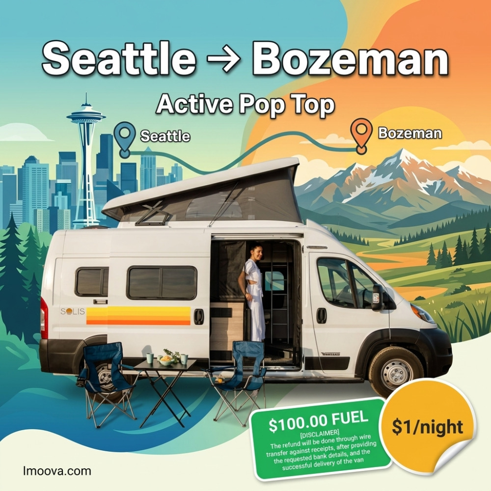 Active Pop Top - image 1