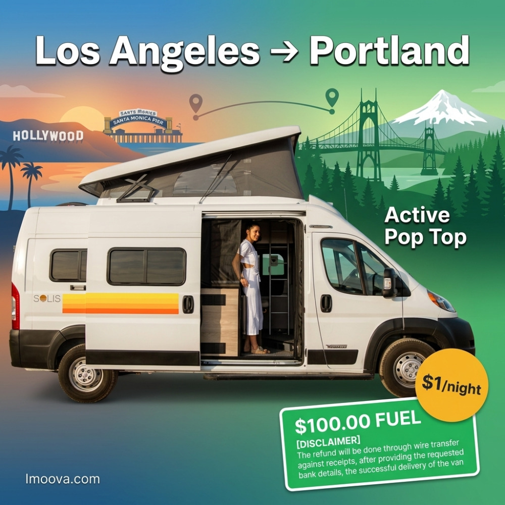 Active Pop Top - image 1