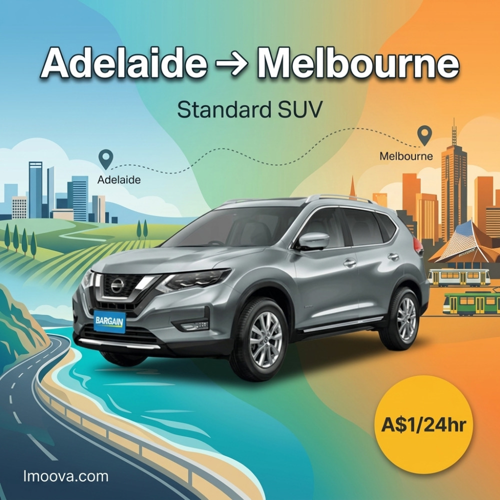 Standard SUV - image 1