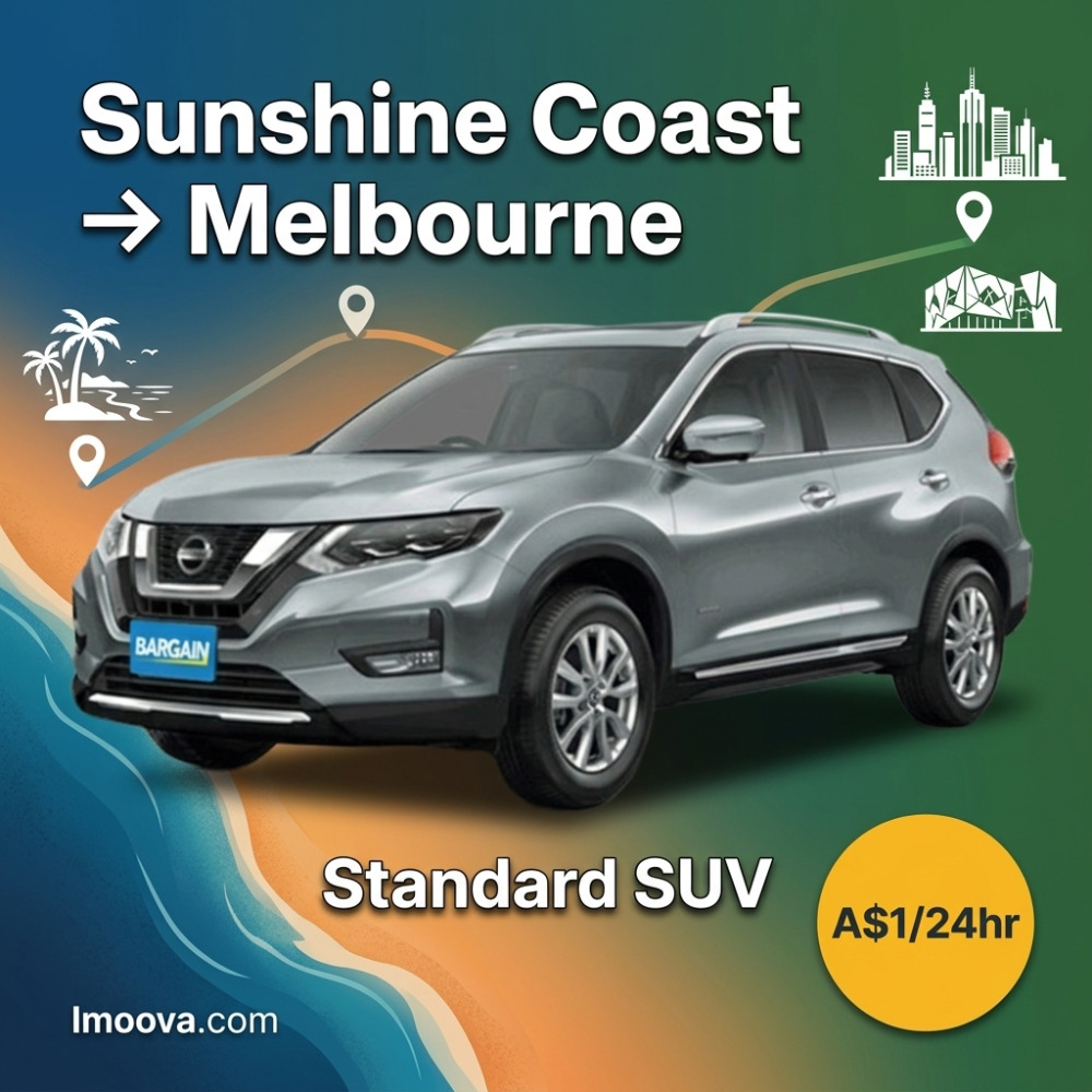 Standard SUV - image 1