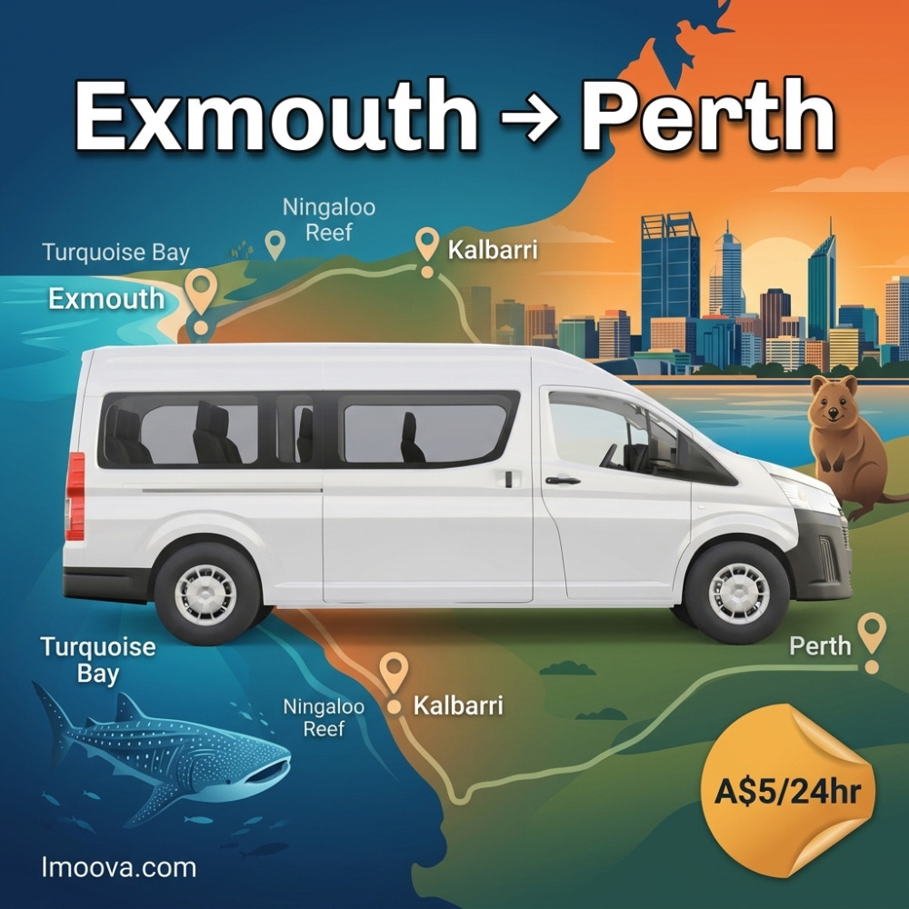 12 Seater van - image 1