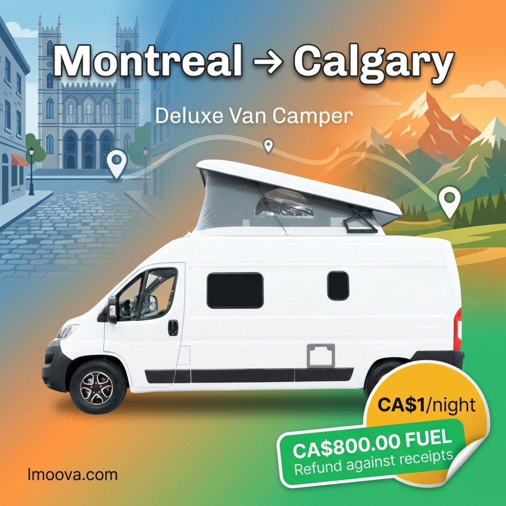 Deluxe Van Camper - image 1