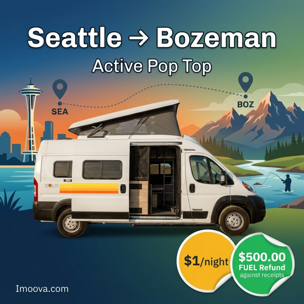Active Pop Top - image 1