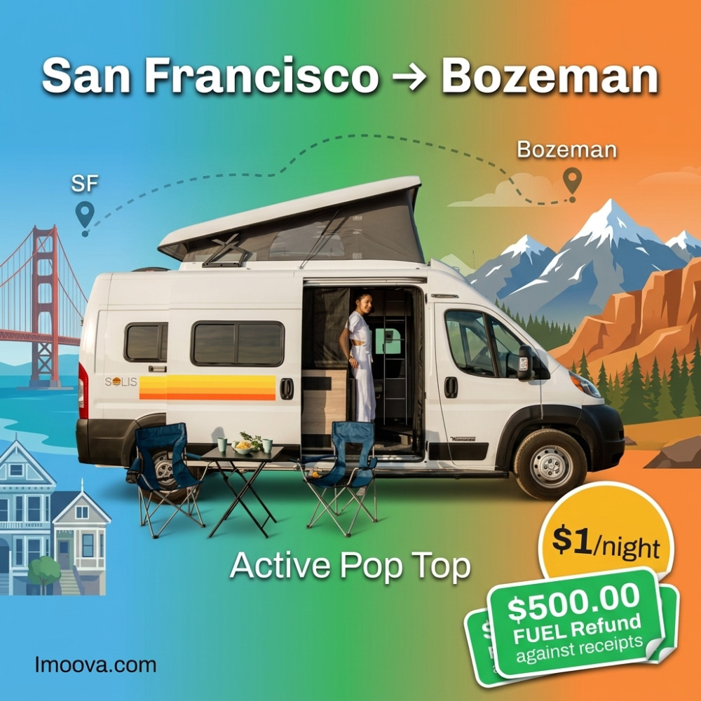Active Pop Top - image 1