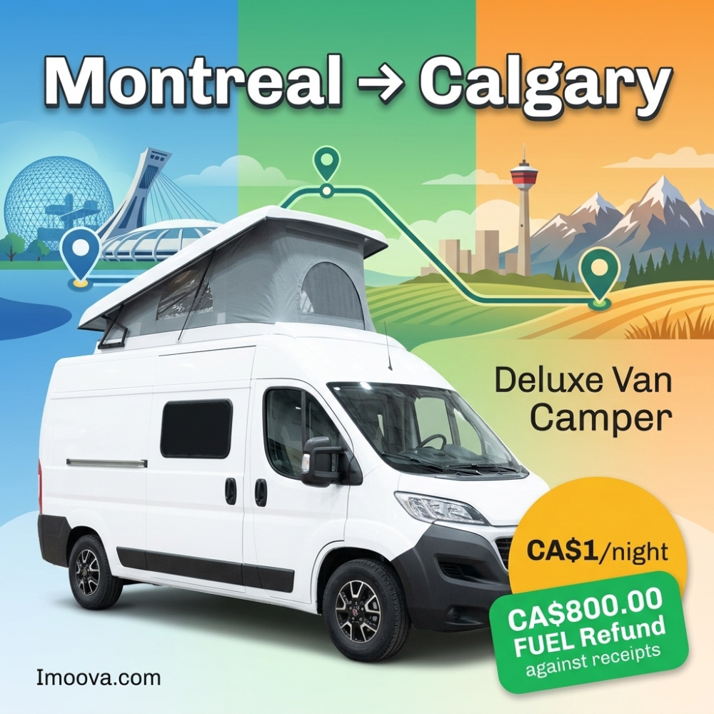 Deluxe Van Camper - image 1